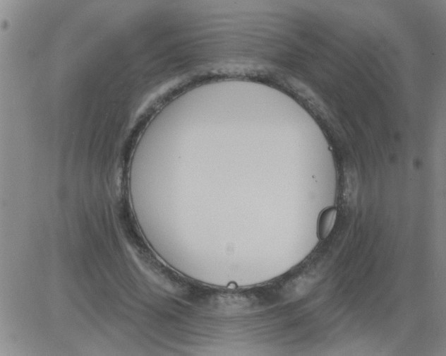 X0000083990636200703021940