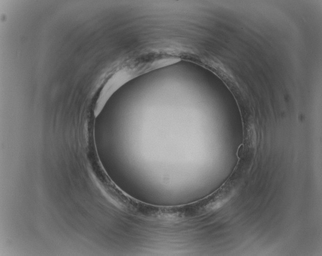 X0000083990638200703021940