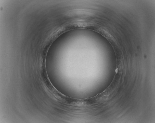 X0000083990639200703021940