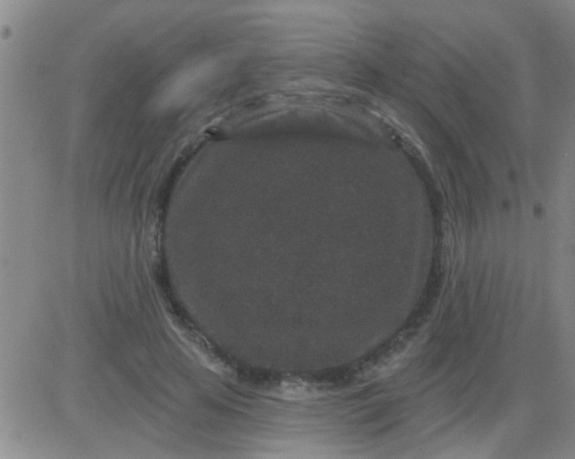 X0000083990641200703021940