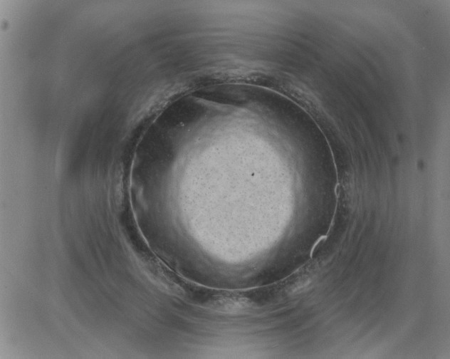 X0000083990642200703021940