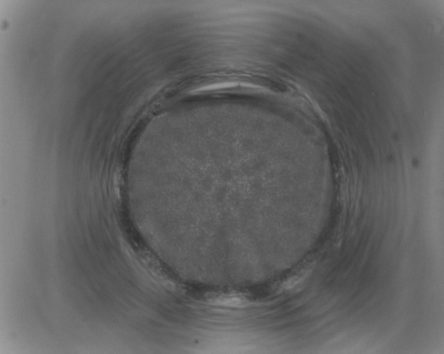 X0000083990643200703021940