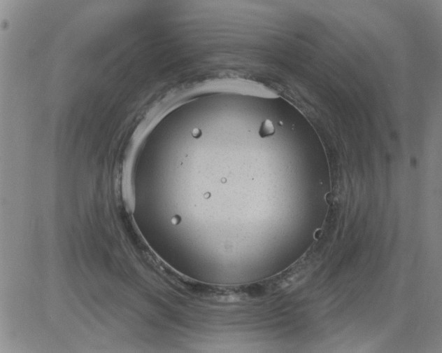 X0000083990646200703021940