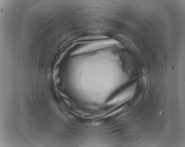 X0000083990647200703021940