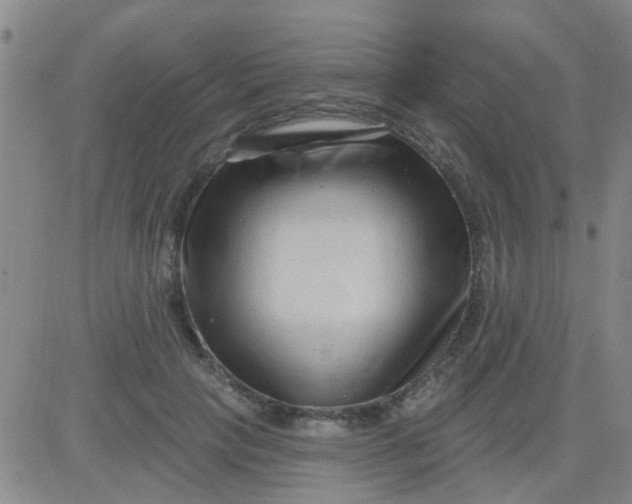 X0000083990649200703021941