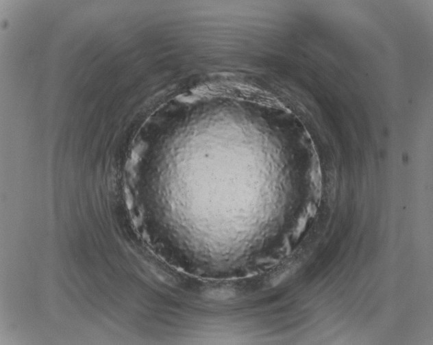 X0000083990653200703021941