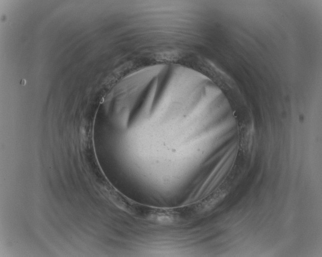 X0000083990655200703021941