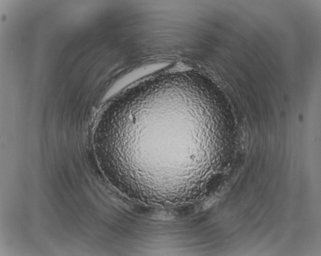 X0000083990656200703021941