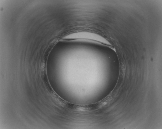 X0000083990657200703021941