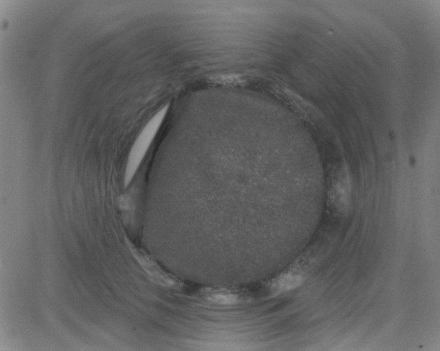 X0000083990658200703021941