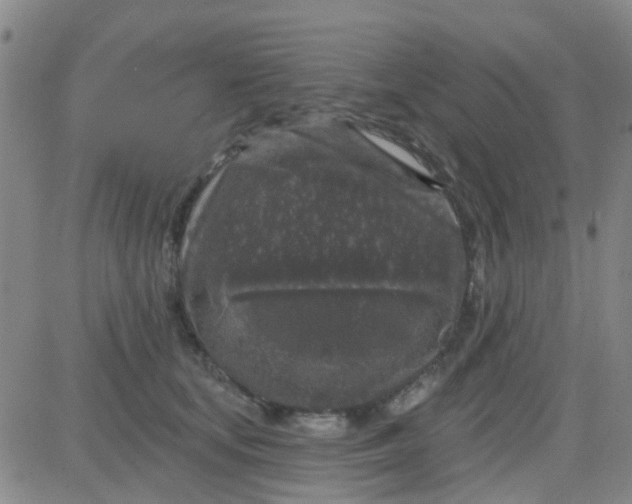 X0000083990659200703021941