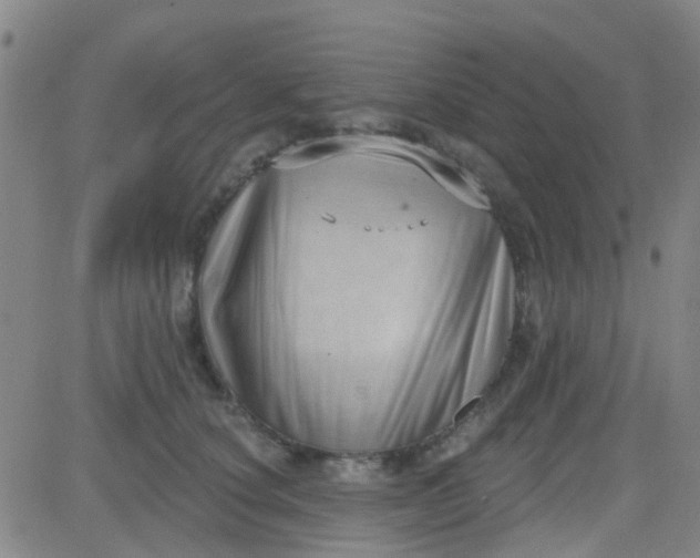 X0000083990660200703021941