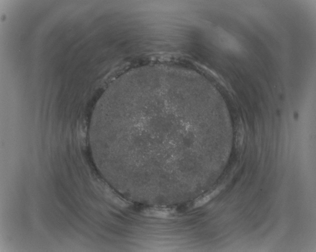 X0000083990661200703021941