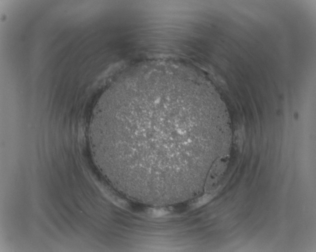 X0000083990662200703021941