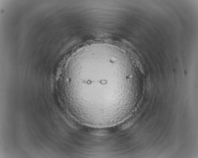 X0000083990664200703021941