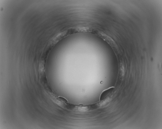 X0000083990665200703021941