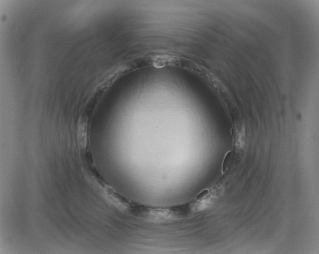 X0000083990666200703021941