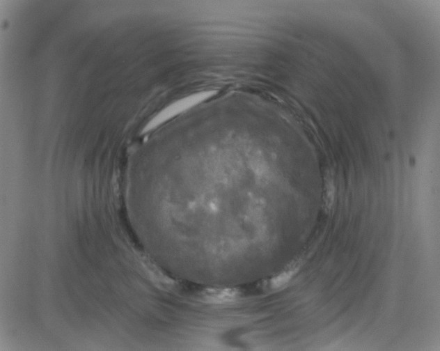 X0000083990667200703021941