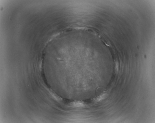 X0000083990668200703021941