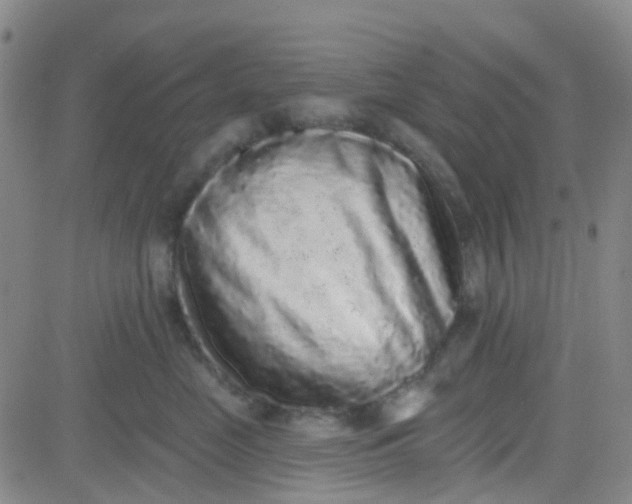 X0000083990669200703021941