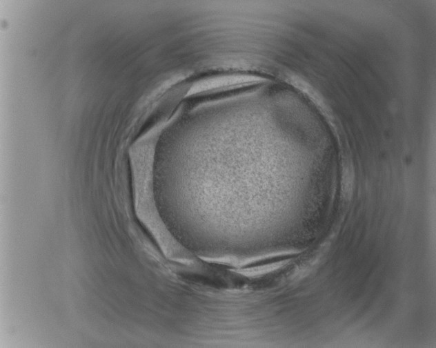 X0000083990673200703021940