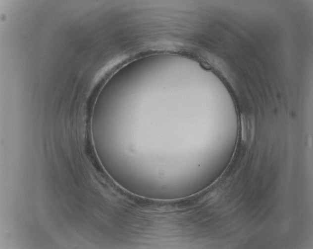 X0000083990675200703021940