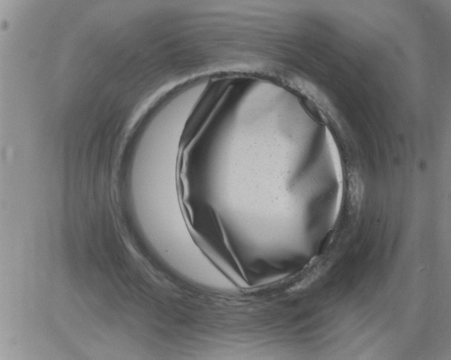 X0000083990676200703021940