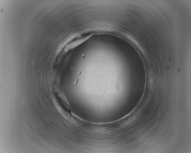 X0000083990677200703021940