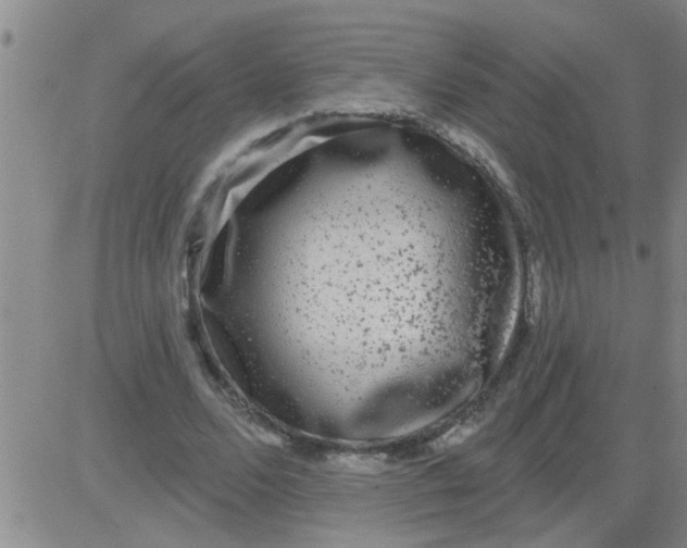 X0000083990680200703021940