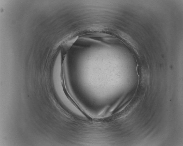 X0000083990681200703021940