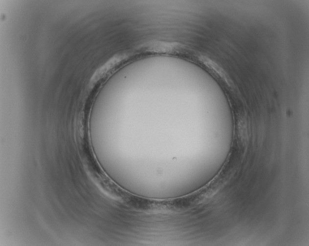 X0000083990682200703021940