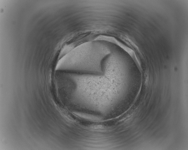 X0000083990685200703021940