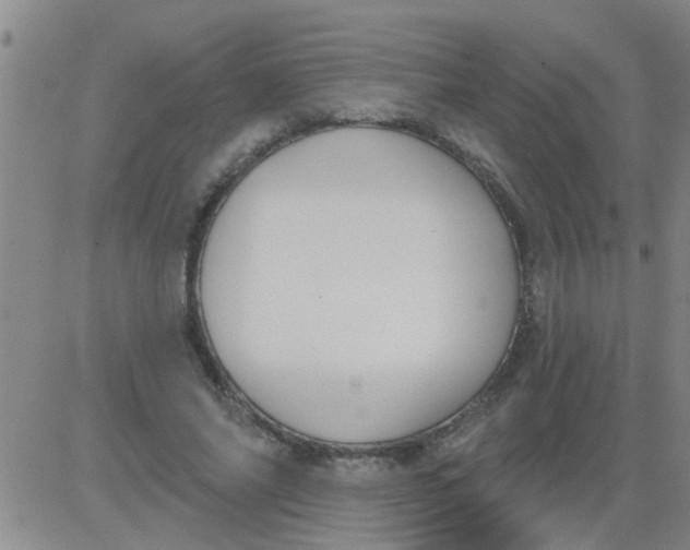 X0000083990686200703021940