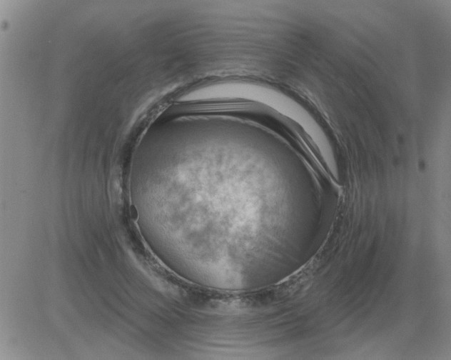 X0000083990688200703021940