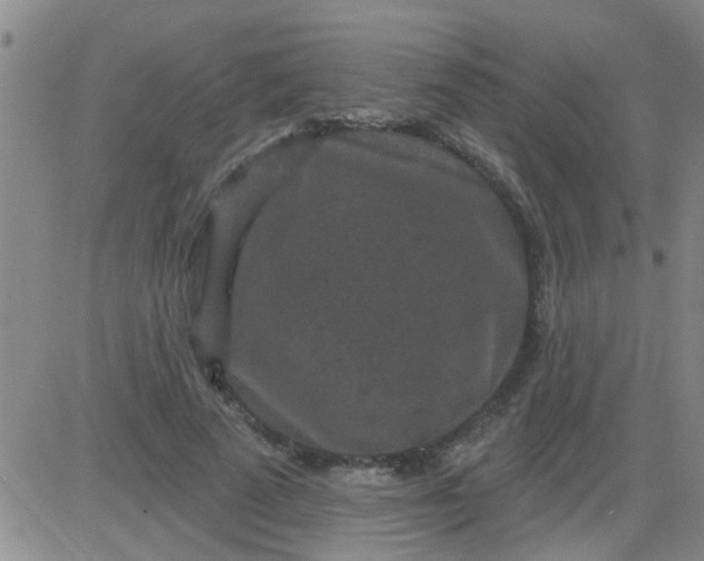 X0000083990689200703021940