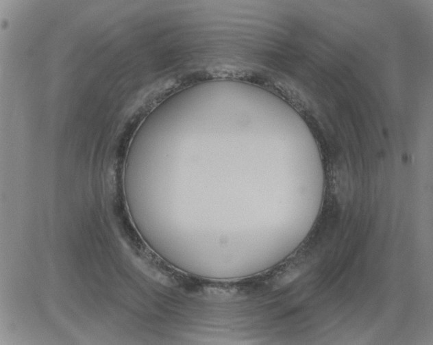 X0000083990690200703021940