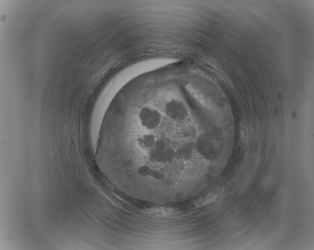 X0000083990691200703021940