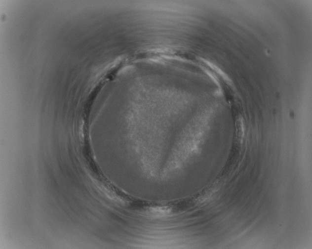 X0000083990692200703021940