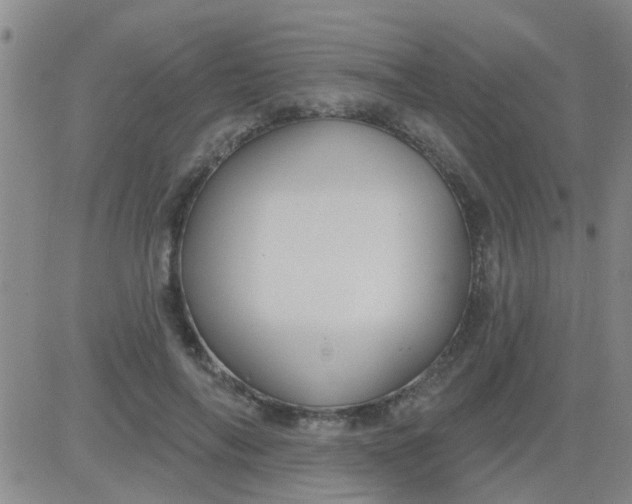 X0000083990694200703021940