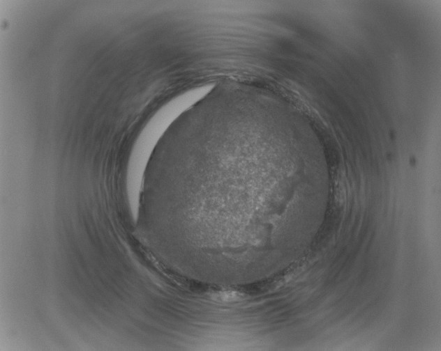 X0000083990695200703021940