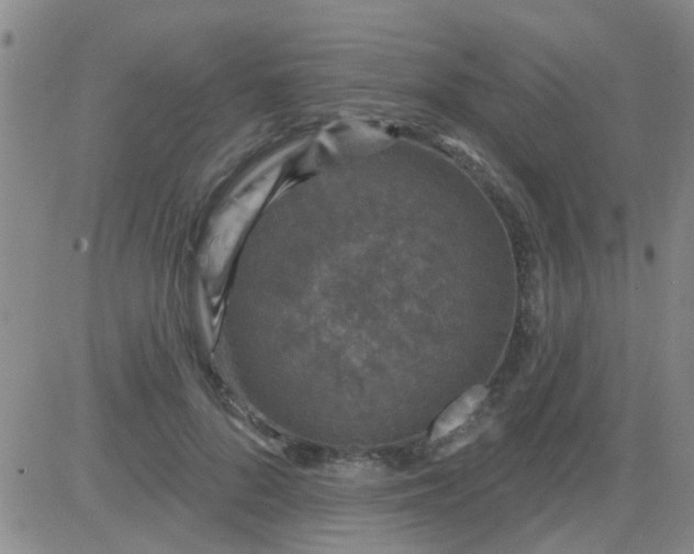 X0000083990696200703021940