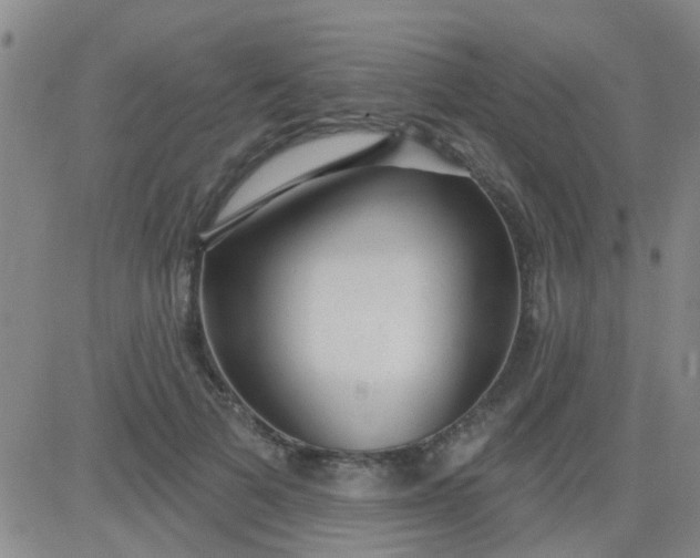 X0000083990697200703021940