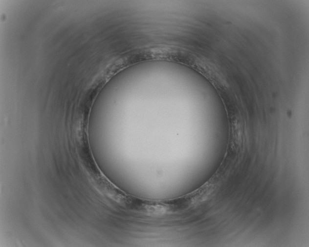 X0000083990698200703021940