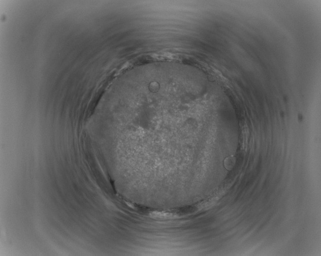 X0000083990699200703021940