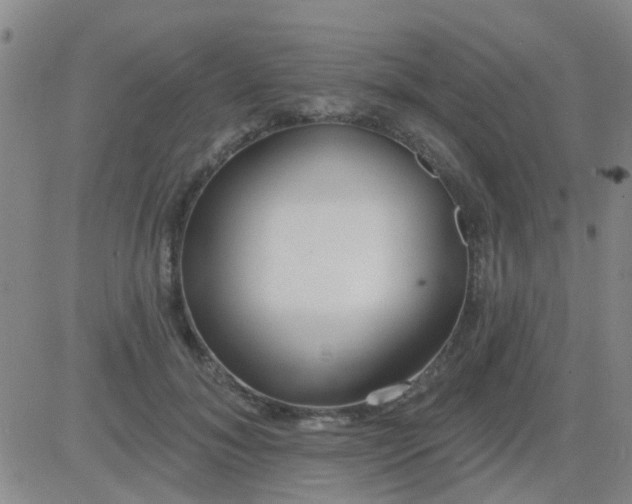 X0000083990700200703021940