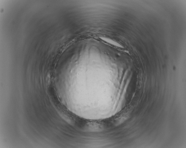 X0000083990703200703021940