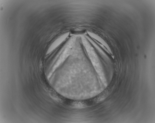 X0000083990704200703021940