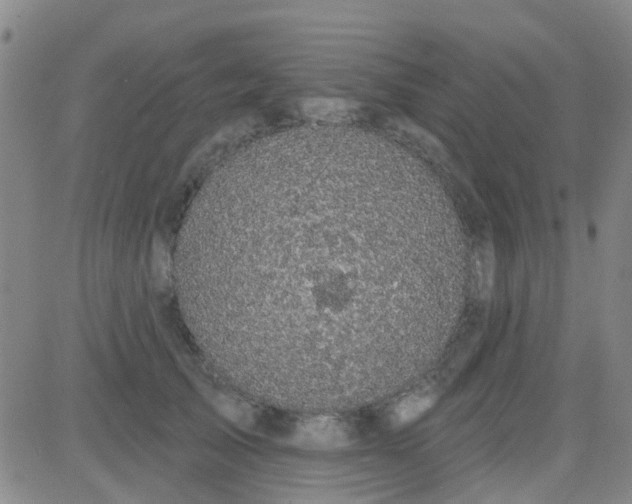 X0000083990705200703021940