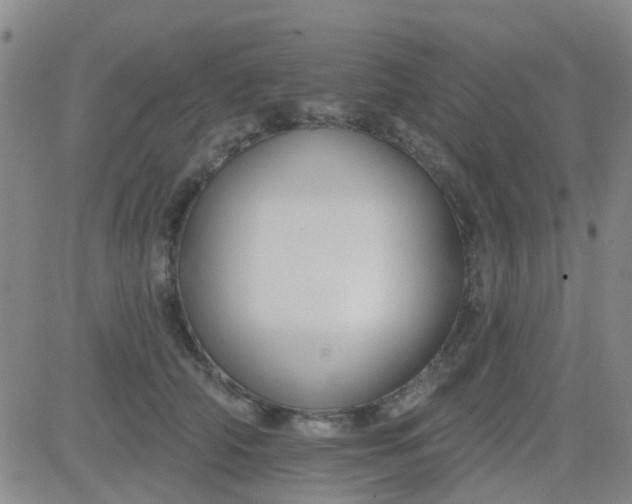 X0000083990706200703021940