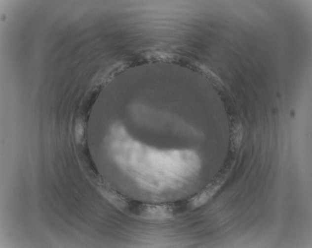 X0000083990709200703021940